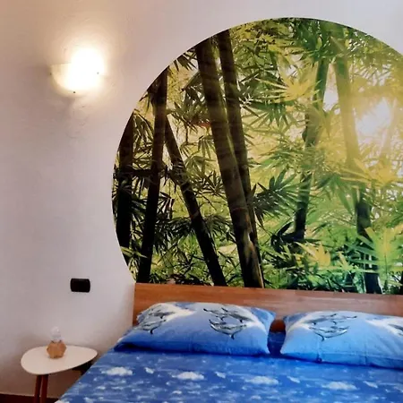 Casa Farfalla Prázdninový dům Trarego Viggiona